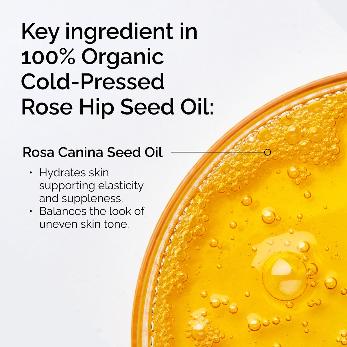 100-organic-cold-pressed-rose-hip-seed-oil-h3 FY25-D41247-ORD-Web-PDP-100-Rose-Hip-Oil-1x1-EN-2.jpg