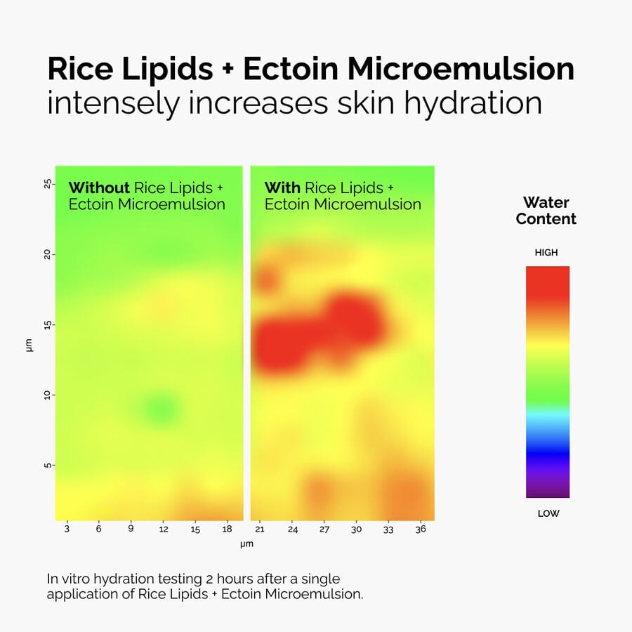rice-lipids-ectoin-microemulsion-i9 ord-rice-lipids-ectoin-microemulsion-thermal-before-after.jpg